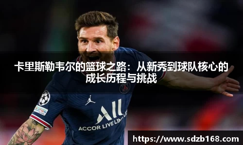 雷火电竞官方网站入口