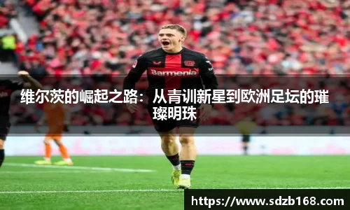 雷火电竞亚洲官网